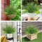 36-Pack Artificial Outdoor Flowers – UV-Resistant Faux Monkey Grass and Greenery for Porch, Garden, Window Boxes, Home, Office, and Desk Decor (Purple)